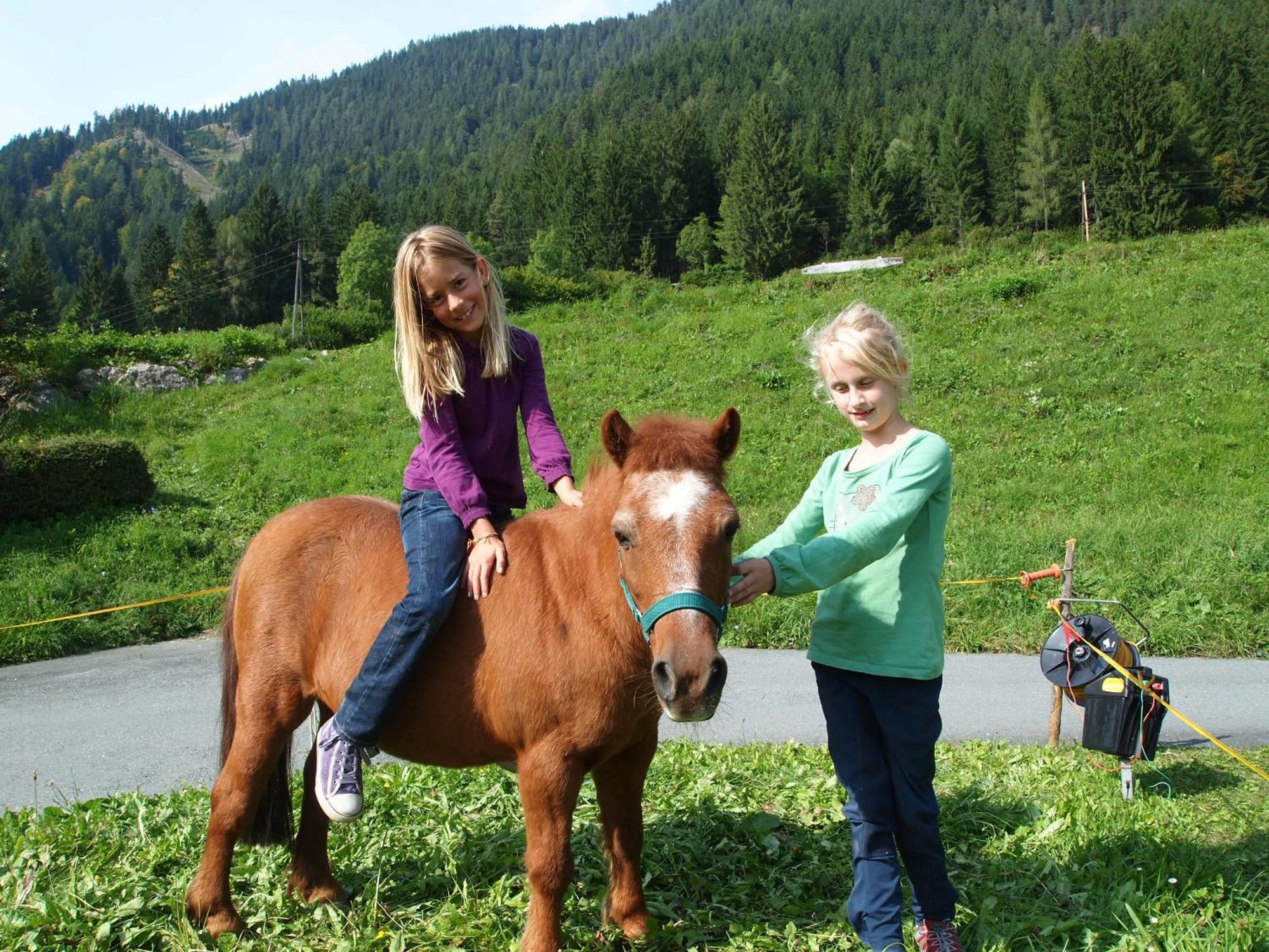 Ferienhof Obergasser Und Bergblick Weissensee Esterno foto
